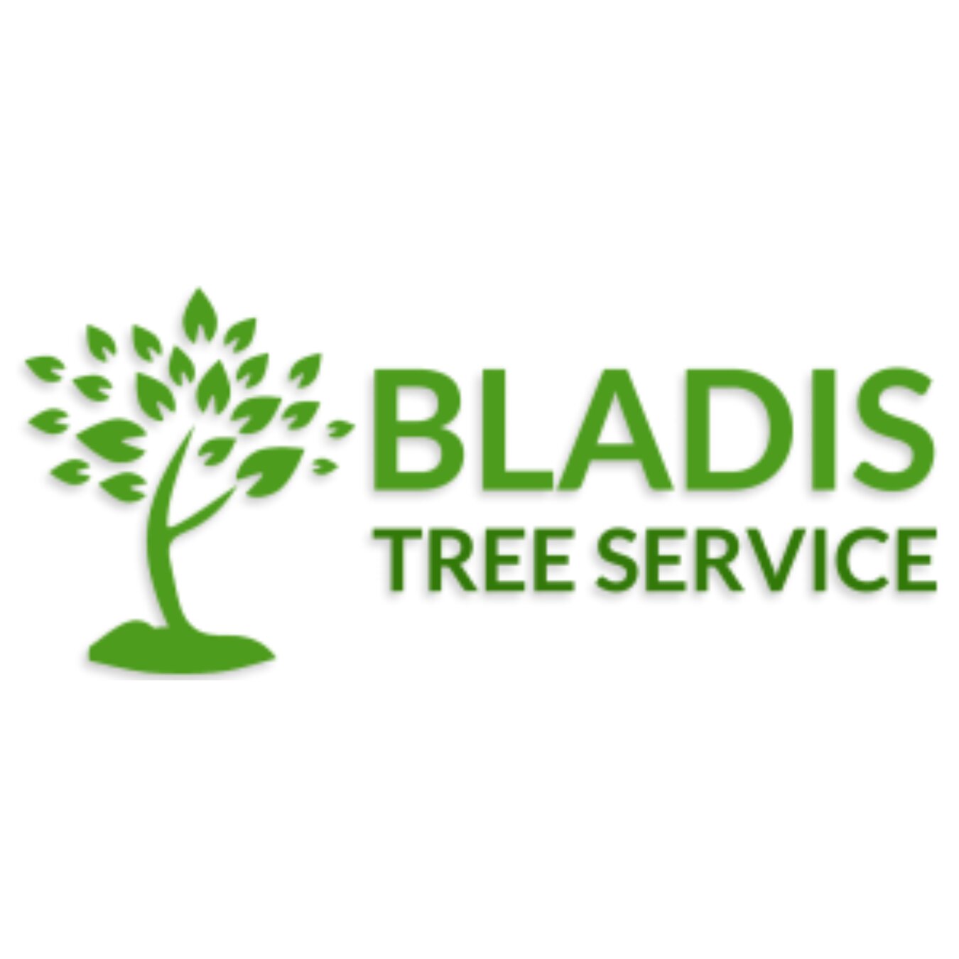 bladistreeservice1